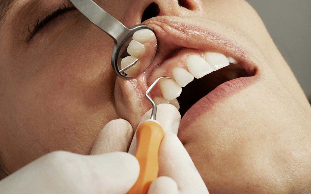 Dental Trust önizleme